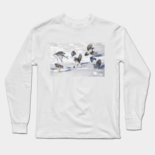 Blue Jays in the snow Long Sleeve T-Shirt